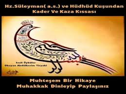 Hz Suleyman Ve Karinca Hikaye Youtube