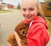 Companionpetskendall.com