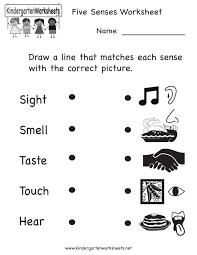 Your Five Senses Pre K Kindergarten Worksheet Five Senses Worksheet Kindergarten Worksheets Printable 5 Senses Worksheet