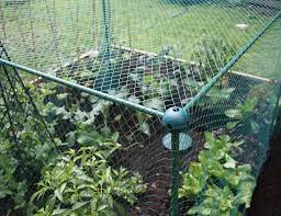 Crows also may frequent your garden and eat fruits and vegetables. Fruit Vegetable Protection Cage Kit With Anti Bird Netting 2mx1mx1 25m