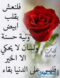 خلفيات ورد مع كلام جميل عبر. ÙˆØ±ÙˆØ¯ Ù…ÙƒØªÙˆØ¨ Ø¹Ù„ÙŠÙ‡Ø§ Ø¹Ø¨Ø§Ø±Ø§Øª Ø¬Ù…ÙŠÙ„Ù‡ Ø§Ø¬Ù…Ù„ Ø§Ù†ÙˆØ§Ø¹ Ø§Ù„ÙˆØ±ÙˆØ¯ Ø¨Ù†Ø§Øª ÙƒÙˆÙ„