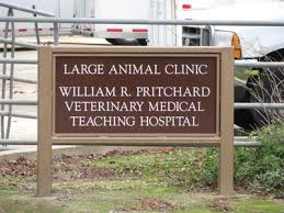 816 s morrison ave, collinsville, il 62234. Veterinary Medical Teaching Hospital Davis Localwiki