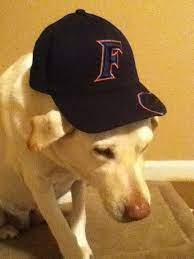 Hahaha Hats Snapback