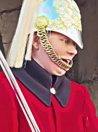 The King’s Friendly Bodyguards