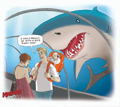 What Do Sharks Eat Cluestolife This means their circulation is slowed down. what do sharks eat cluestolife