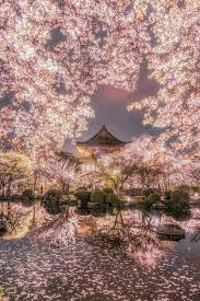 Take expert or friendly advice. 18 Breathtaking Honeymoon Destinations Bafbouf Cherry Blossom Japan Beautiful Landscapes Scenery
