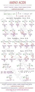 Mcat Amino Acid Chart Study Guide Cheat Sheet For The