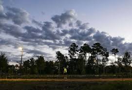 We did not find results for: What To Expect On The New Walking Path In Houston S Memorial Park Memorial Park Conservancy