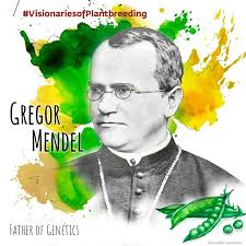 plantbreeding #visionariesofplantbreeding #fatherofgenetics…