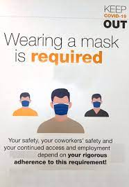 India's growth in the fourth quarter of the fiscal year 2020 went down to 3.1% according to the ministry of statistics.the chief economic adviser to the government of india said that this drop is mainly due to the coronavirus pandemic effect on the indian economy. Linguistic Diversity And Inclusion In Abu Dhabi S Linguistic Landscape During The Covid 19 Period