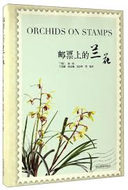 Image result for Schizochilus sulphureus