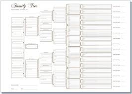 details about a3 six generation family tree chart pedigree pack of 3 rolled in a tube