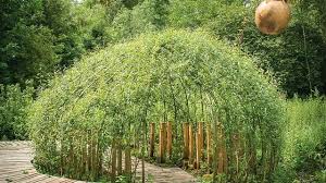 La résidence jardin des plantes se situe 45 rue guid� , 80090 amiens. Les Hortillonnages Amiens Idee Sortie Balade Au Festival Cote Maison