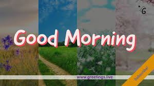 We did not find results for: Youtube Good Morning Photo Atomussekkai Blogspot Com