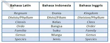 Check spelling or type a new query. Klasifikasi Makhluk Hidup Sistem Manfaat Tujuan Dan Ciri