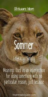 Sommer Afrikaans Afrikaans Language Idioms