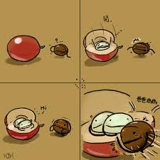 啡豆漫畫第6話 啡豆始祖級 咖啡豆懶人包 咖啡豆是咖啡樹的種子一顆由咖啡樹開花結果得出來的種子 而且通常一顆果實裡有兩粒咖啡種子 四格漫畫