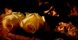 Luis Menéndez Ondina