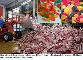 What S Wrong With Gelatin