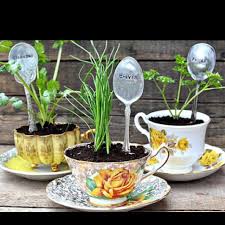 Herb Teacup Planter I Believe You Need To Drill A Drainage Hole With A Ceramic Drill Bit For This To Really Teacup Gardens Plant Markers Silverware Crafts