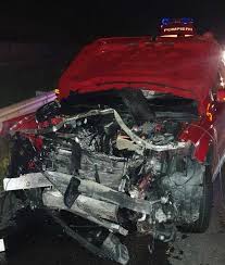 Autorităţile din tulcea solicită ministerului mediului să permită vânarea acestora 0:0 comments Bear Killed By 4 Cars On The Sibiu Deva Highway Two Children Suffered From Panic Attacks And Needed Medical Help Photo