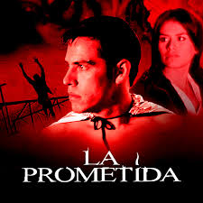 Tom Mohler: Series y películas de Tom Mohler sólo por ViX