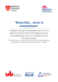 PDF) A Rapid Evidence Assessment on the Effects that Access and Exposure to  Pornography has on Children and Young People