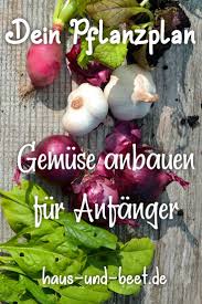 Erstelle Deinen Pflanzplan Fur Gemuse Mit Beispielen Pflanzplan Garten Bepflanzen Gemuse Pflanzen