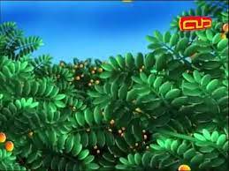 أغنية أنا عصفوره أسمي نوره للأطفال flv youtube youtube