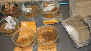 Check the list of best seed banks around the world that is going to be able to ship to your home without raising any suspicions. Collecting Seeds Center For Plant Conservation