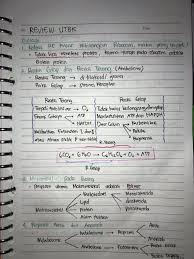 Soal latihan utbk sejarah 2021. ð™™ð™–ð™¥ð™¤ð™¡ On Twitter Utbk Biologi 2019 Berisi Materi Dan Contoh Soal Yang Sering Keluar Di Utbk 2019 Utbk2019 Sbmptn