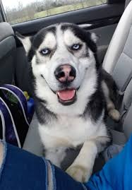 A man is facing charges after police say he was caught