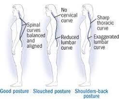 The betterback is basically a posture corrector that will provide you instant relief from your back pain. 4 Ways To Turn Good Posture Into Less Back Pain Harvard Health