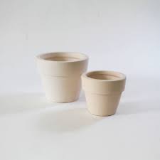 Use flat brush to paint outside of all pots lime green. 4 White Clay Pot Succulents Pot With Drainage Hole Succulents Box