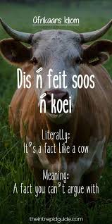 Dis N Feit Soos N Koei Afrikaans Afrikaans Quotes Idioms