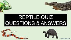 1 which state produced the most milk in 1999? Reptile Quiz Questions And Answers Trivia Jungle Youtube