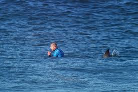 Jamaica bay, shallow inlet of the atlantic ocean covering about 20 square miles (50 dotted with marshy islands, jamaica bay connects with the ocean to the southwest by. Mick Fanning Attacked By Sharks In The 2015 J Bay Open Final