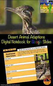 Desert Animal Adaptations Interactive Notebook For Google Distance Learning Animal Adaptations Desert Animals Adaptations Digital Interactive Notebook