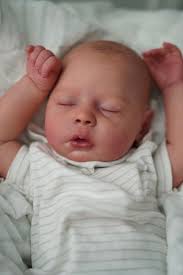 Dustin by Helena Zwolfer from Tiny Gifts Nursery