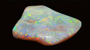 Personal details about opal include: All That Glitters Brutal Climate Shiny Payday Bbc Worklife