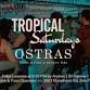 Tropical Saturdays at Ostras Lounge - Ostras Cantina Bar, 3003 Mannheim Rd Event Image