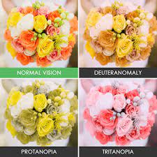 This video introduces you to some color blind people and helps you understand what the world looks like from their perspective. How The World Looks Like For Color Blind People Design Swan