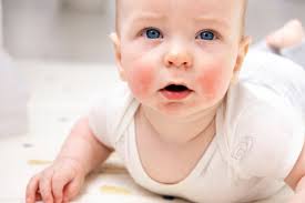 Parvovirus: Not just for the dogs