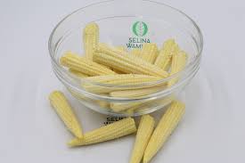 Individual experimental plots of 3 m × 2.25 m size were. Baby Corn Yield Per Acre In Kenya Vegetable