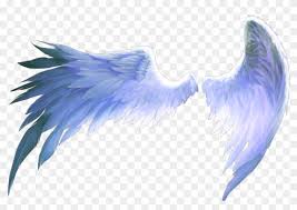 To explore more similar hd . Wings Of Freedom Angel Birds Blue Aesthetics Pink Angel Wings Png Clipart 4012179 Pikpng