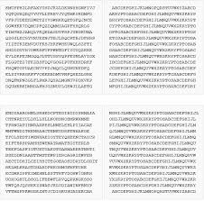 Dunin suggested that the fourth passage could turn out to be unsolvable; The Kryptos The Ultimate Secrets