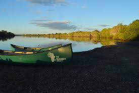 Image result for Cuviera semseii