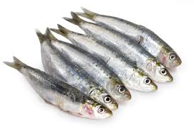 锦鲤鱼, scad, fish, fish maw, crabmeat, kee fish, blackfish, ikan duri, dory fish. Resepi Keluarga Ini Ikan Tamban Sardine Ikan Ini Facebook