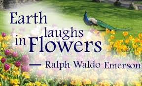 Gardening Quotes To Think About Nature Quotes Garden Quotes Flower Quotes