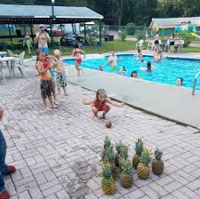 Free boondocking (dry camping) or paid campgrounds. Free Spirit Campground Landisburg Home Facebook